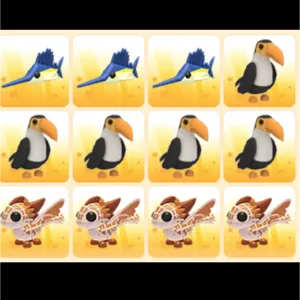 BUNDLE PET 12x