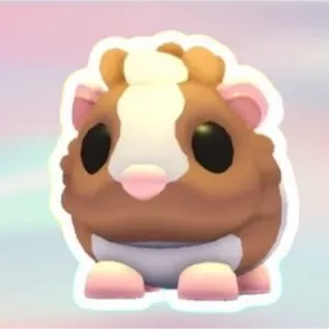 NEON CHOCO GUINEA PIG