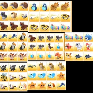 84x BUNDLE PET