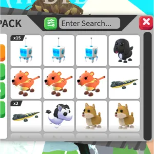 12x BUNDLE PET