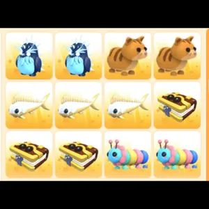 BUNDLE PET 12x
