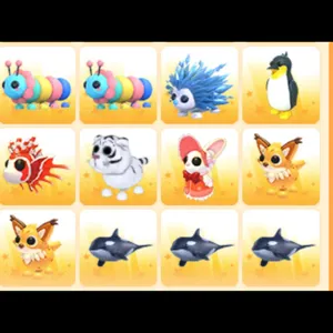 BUNDLE PET 12x