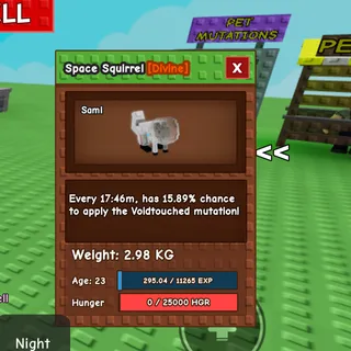 GAG SPACE SQUIRREL