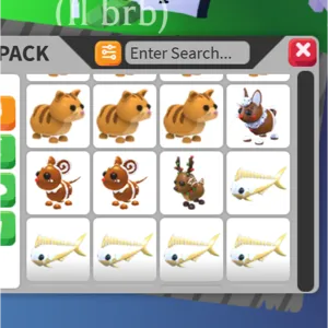 12x BUNDLE PET
