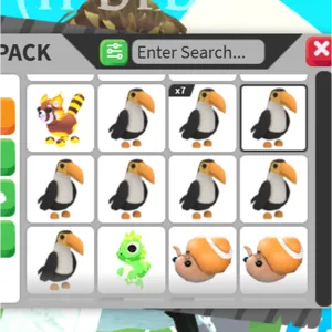 12x BUNDLE PET