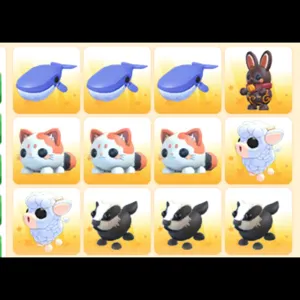 BUNDLE PET 12x