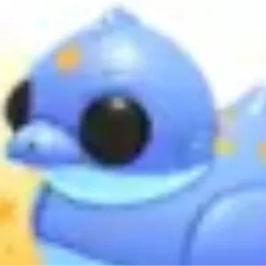 16x GECKO DUCKY