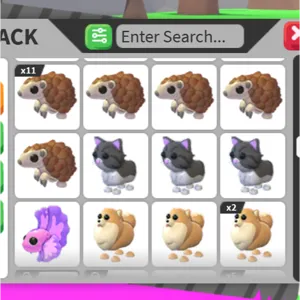 12x BUNDLE PET