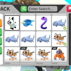 12x BUNDLE PET