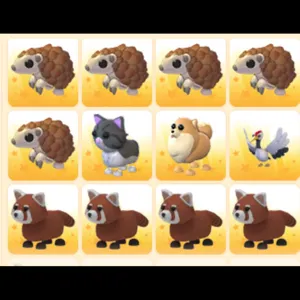 BUNDLE PET 12x