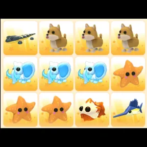 BUNDLE PET 12x