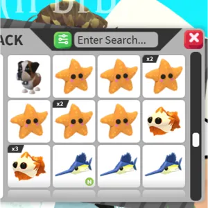 12x BUNDLE PET