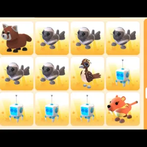 BUNDLE PET 12x