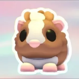 NEON R CHOCO GUINEA PIG