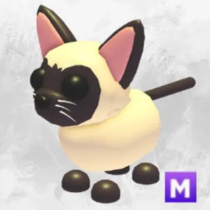 mfr siamese cat x2