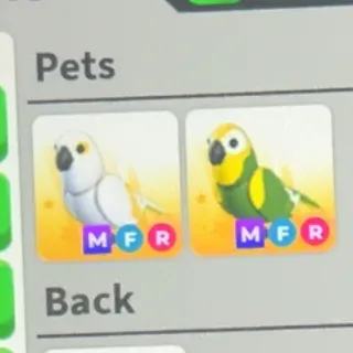 MFR green/white amazon