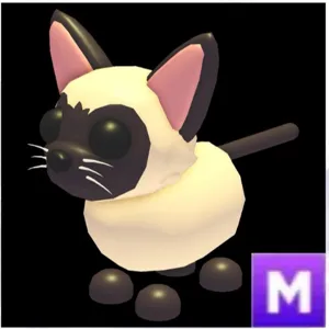 mega siamese cat pet