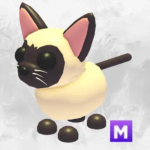 mega fr siamese cat