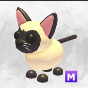 2 mega siamese cats