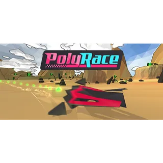 PolyRace (RARE NO LONGER SELLING IN STEAM) | STEAM Key [INSTANT DELIVERY]
