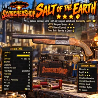 SALT OF THE EARTH