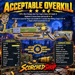 ACCEPTABLE OVERKILL