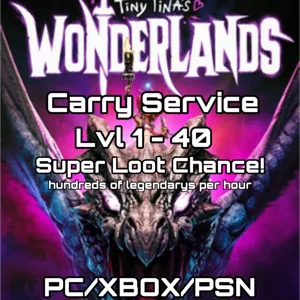 1 Hour carry service