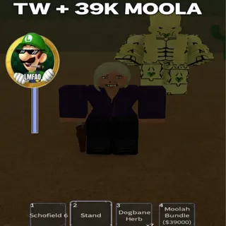 BRIDGER WESTERN : STAND ACC TW