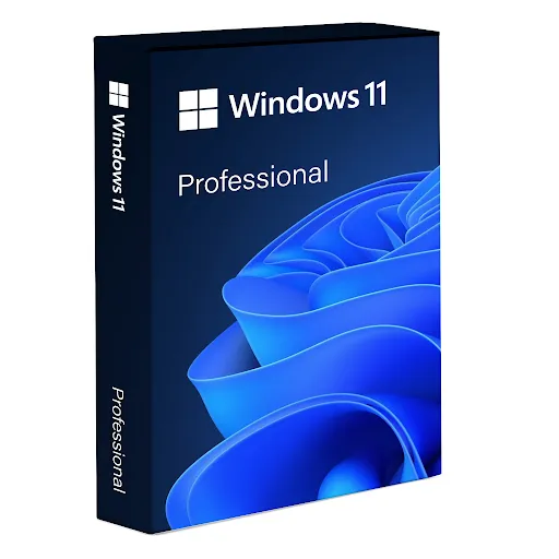 Windows 11 Professional | KEY | ONLINE ACTIVATION |INSTANT DELIVERY ...