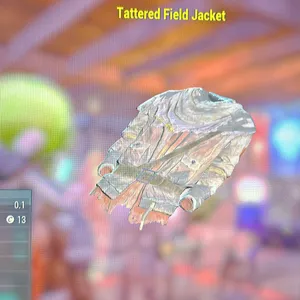 Tattered field jacket