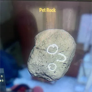 Pet Rock