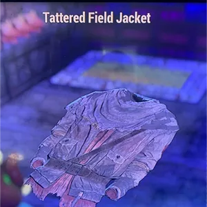 Rare Tatted Field Jacket