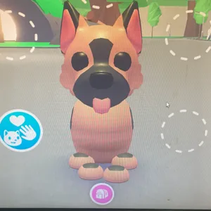 German Shepard