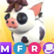 mfr mini pig