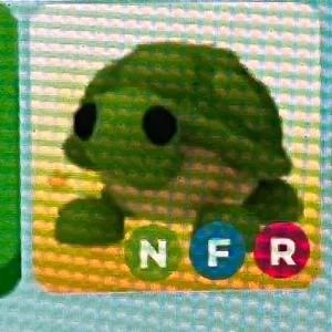 Nfr turtle 