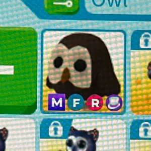Mfr Owl