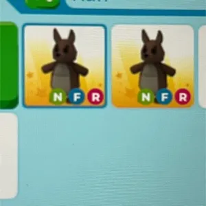 Nfr Kangaroo 