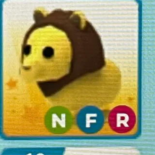nfr lion