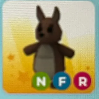 nfr kangaroo
