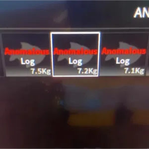 ANOMALOUS LOG - FISCH