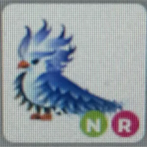 Frost Phoenix Neon,Ride