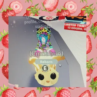 Neon Ride Bunny Swirl