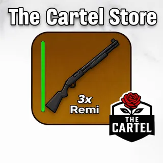 Remi Blockspin Bundle