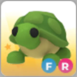 ⚡ Cheap FR Turtle
