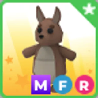MFR KANGAROO