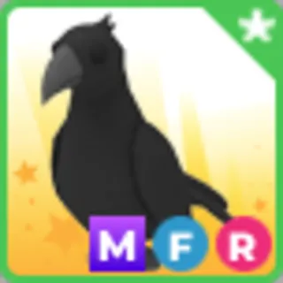 🖤🌈 MFR Crow | Adopt From Me | ⚡ Fast Delivery