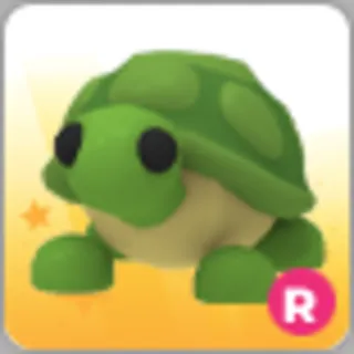 ⚡ Cheap R Turtle