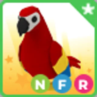 NFR PARROT