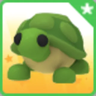 NO POTION TURTLE