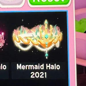 MERMAID 2021  HALO